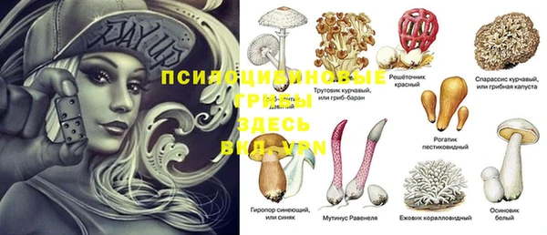 MDMA Premium VHQ Новокубанск
