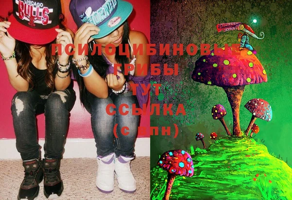 MDMA Premium VHQ Новозыбков